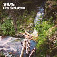 Forest River Stream Splash - Water Science & Waterfall Sounds & Rain Sounds For Sleep