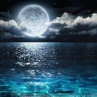Total Relaxation - Spa Music Collective