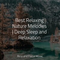 Searching Glory - Massage Music & Music For Absolute Sleep & Asian Zen: Spa Music Meditation