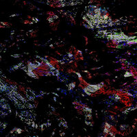 Homemade Lobotomy (Sped Up) - FXLSE