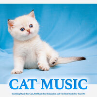Soothing Cat Music - Music For Cats & Cat Music & Music For Pets
