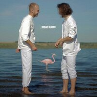 Talking True - Ocean Bloom