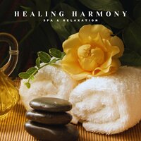 Zen Music - Spa & Relaxation