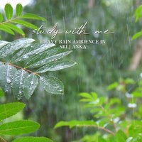 Heavy Rain Ambience in Sri Lanka, Pt. 4 - Sebastian Riegl
