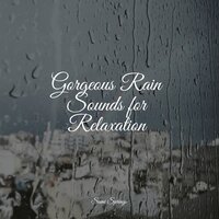 Rain While Driving - Classical Study Music & Relaxing Nature Sounds Collection & Calm shores