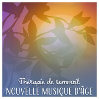 Chanson de la nuit - Aide au Sommeil Académie