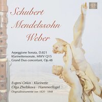 Klarinettensonate, Mwvq15, II. Andante - Evgeni Orkin & Olga Zheltikova & Феликс Мендельсон