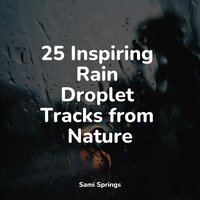 Forest Sounds (Birds) - Binaural Creations & Meditação Maestro & Rest & Relax Nature Sounds