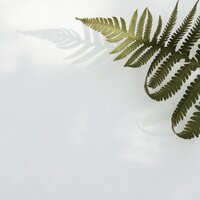 Healing Tides - Sleep Sounds Of Nature & Entspannungsmusik & Meditacionessa