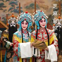 到了古代 - 金不换 & 张国朝