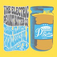 Stealio - The Electric Peanut Butter Company & Shawn Lee & Adrian Quesada