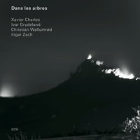 L'indifférence - Xavier Charles & Ivar Grydeland & Christian Wallumrød & Ingar Zach