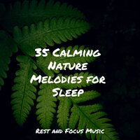 Lakeside Dreams - Massage Therapy Music & Nature Recordings & Yoga Workout Music