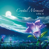 Starry Blossoms - Rei Kagaya