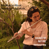 Reiki Healing Music - Native American Flute & Sleep Music: Native American Flute & Native American Flute Music