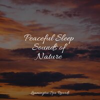 In the Clouds - Rain Sound Plus & Baby Lullabies Music & Nature & Sounds Backgrounds