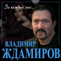 За каждый миг - Владимир Ждамиров