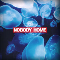Nobody Home - Saverne & Cleva Thoughts