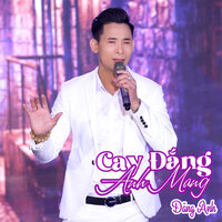 Tình Ngăn Đôi Bờ - Đăng Anh
