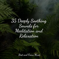 Tonal Tides - Best Kids Songs & Meditation & Stress Relief Therapy & Relaxing Nature Music