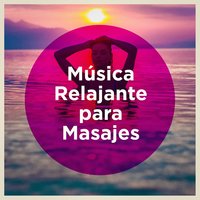 Dolphins Delight 1 - Dormir Bien