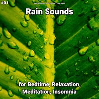 Raindrops for Inner Peace - Nature Sounds & Rain Sounds & Yoga Music