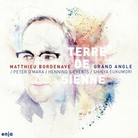 Gris Acier - Matthieu Bordenave