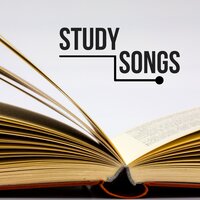 Feng Shui (Reiki) - Concentration Study