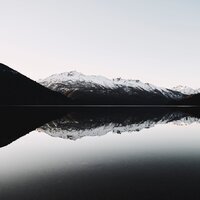 Melting Snow - Music for Dog's Ears & Animal and Bird Songs & Dormir Bien