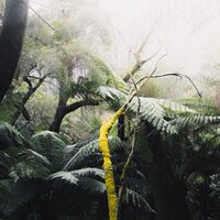 Melodía De Meditación Matutina - Musica para Dormir 101 & Música para Relajarse Profundamente & Relajante Musica