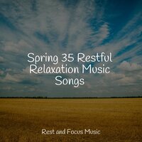 Calming Sea - Academia de Música con Sonidos de la Naturaleza & Chakra Meditation Universe & Easy Sleep Music