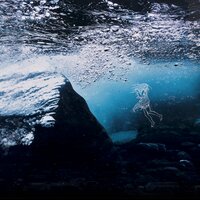 Along The Wall - Isgaard