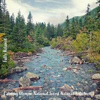 Calming Olympic National Forest Natural Ambience, Pt. 18 - Steve Brassel