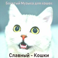 Музыка (Котята) - Богатый Музыка для кошек