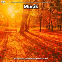 Entspannungsmusik pt. 6 - Entspannungsmusik zum Einschlafen und Relaxen & Schlafmusik & Entspannungsmusik