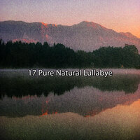 Dawn Chorus - Sounds of Nature Noise