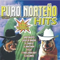 Ojitos Soñadores - Enigma Norteño & Furia Tejana