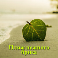 Пляж на заре - Relaxing Spa Music