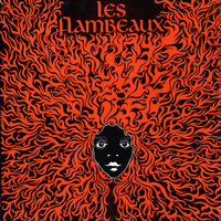 I Can Feel It - Les Flambeaux