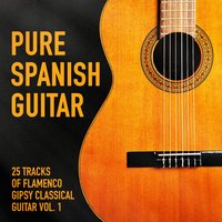 Mi Gitana - The Spanish Guitar & Ricao