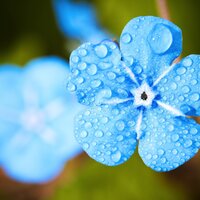 Tranquil Dew Drops - Calming Baby Sleep Music Club