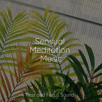 Peaceful Energy - Meditative Music Guru & Relaxing Nature Music & Smart Baby Lullaby