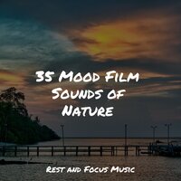 Mystical Forest - Native American Flute & Chakra Meditation Universe & Baby Sweet Dream