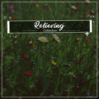 Meditative Rainfall - Asian Zen: Spa Music Meditation