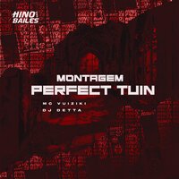Montagem Perfect Tuin - Mc Vuiziki & Dj Detta
