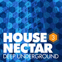 Play On (feat. Frank H. Carter III and Diore) - YSE & Frank H. Carter III & Diore