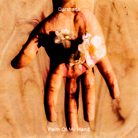 Palm of My Hand. - Darshaan & Nysza