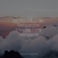 Tonos De Tintineo - Sueños Triplete & Meditação Yoga Maestro & Masajes Spas