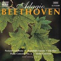 Romance No. 2 in F Major, Op. 50: Violin Romance No. 2 in F Major, Op. 50 - Takako Nishizaki & Ludwig van Beethoven