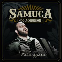 Pensei Que Fosse em Vão - Samuca do Acordeon